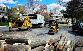 Seasonal Cleanup (Spring/Fall) in Bennington, NE